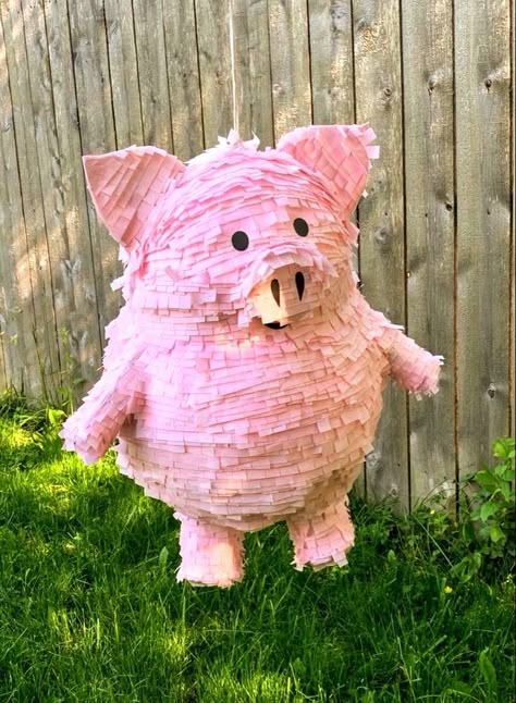 pig